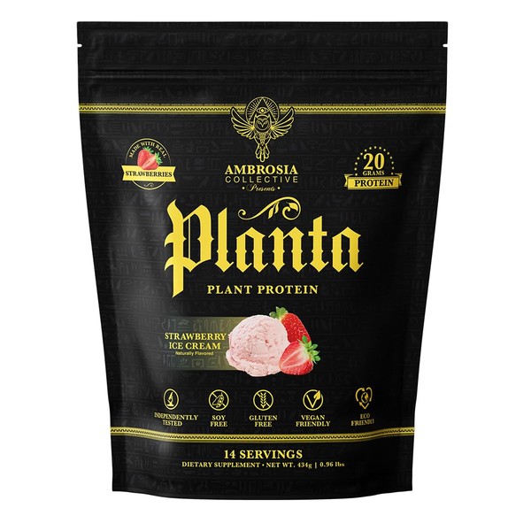 Ambrosia Ambrosia Planta - Premium Organic Plant-Based Protein | Vegan