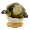 THE JOY TREE Hatching Sea Turtle - Sculpture Figurine Ocean