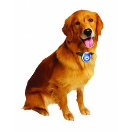 Uncle Milton Pet's Eye View Camera