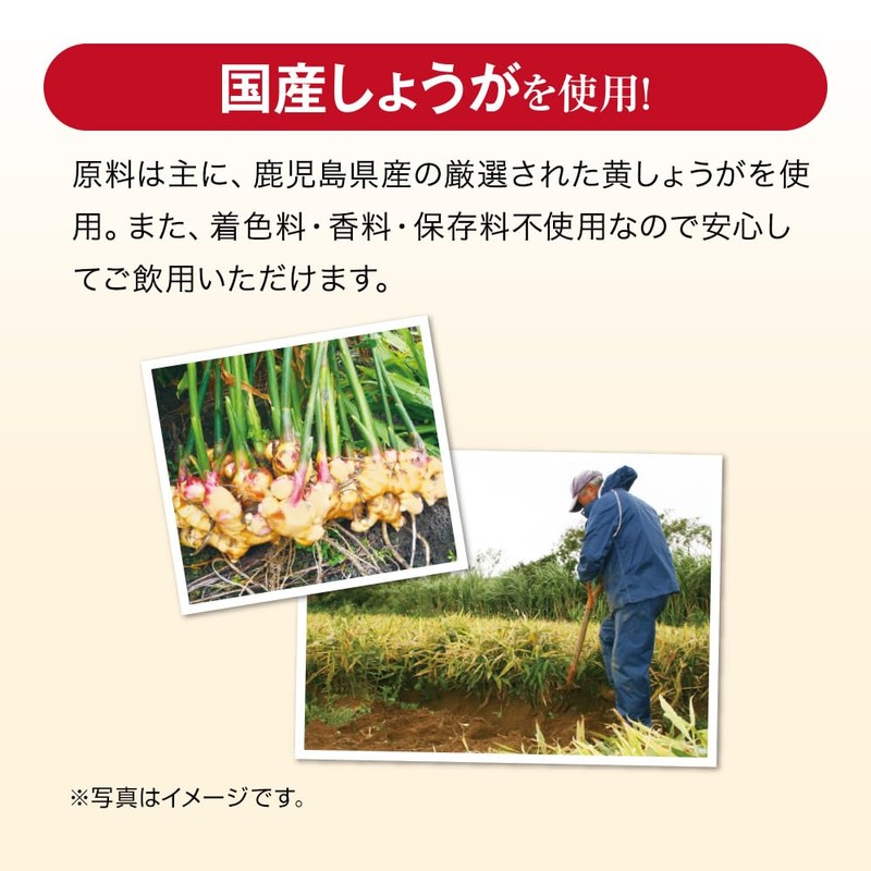 山田養蜂場 まるごと濃縮しょうが粒 60粒袋入 しょうが