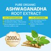 EnvyDeal Ashwagandha Gummies, 2000mg Organic Ashwa Root Extract Supplement for
