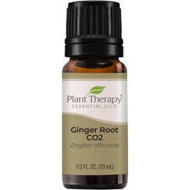 Plant Therapy Ginger Root CO2 Essential Oil 100% Pure, Undiluted, Natural Aromatherapy, Therapeutic Grade 10 mL (1/3 oz)