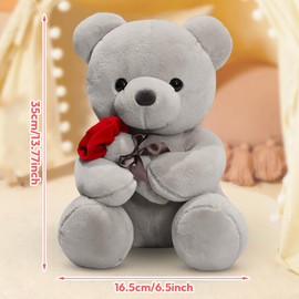 EUBSWA Teddy Bear with Rose Plush Toy 35 cm, Teddy Bears Plush Cuddly Toy Gifts for Children Girls Mother for Birthday, Valentine's Day, Grey
