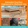 FOXMM Interactive Dog Toys – Suction Cup Tug of War