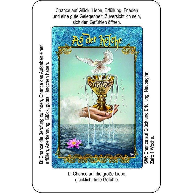 Angelina Schulze Artdesign Osorio Tarot Cards for Beginners