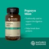 Nature's Sunshine Papaya Mint, 70 Chewable Tablets | Natural Mints