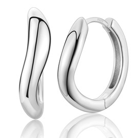 Earrings Silver Hoop Earrings for Women Girls 925 Stud Earrings Hypoallergenic Hoop Earrings Silver Jewellery Gifts for Women, White Gold
