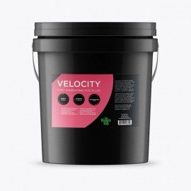 Froggy's Fog Velocity - Fast Dissipating Fog Fluid - 5 Gallon Pail