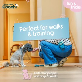 Coachi Puppy & Mini Treat Pouch - Compact sized Treat Bag, Drawstring Closure, Secure Attachment, Clips on Belt, Waistband or Pocket. Suitable for Dog Walking & Training