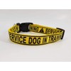 Service Dog in Training Dog Collar