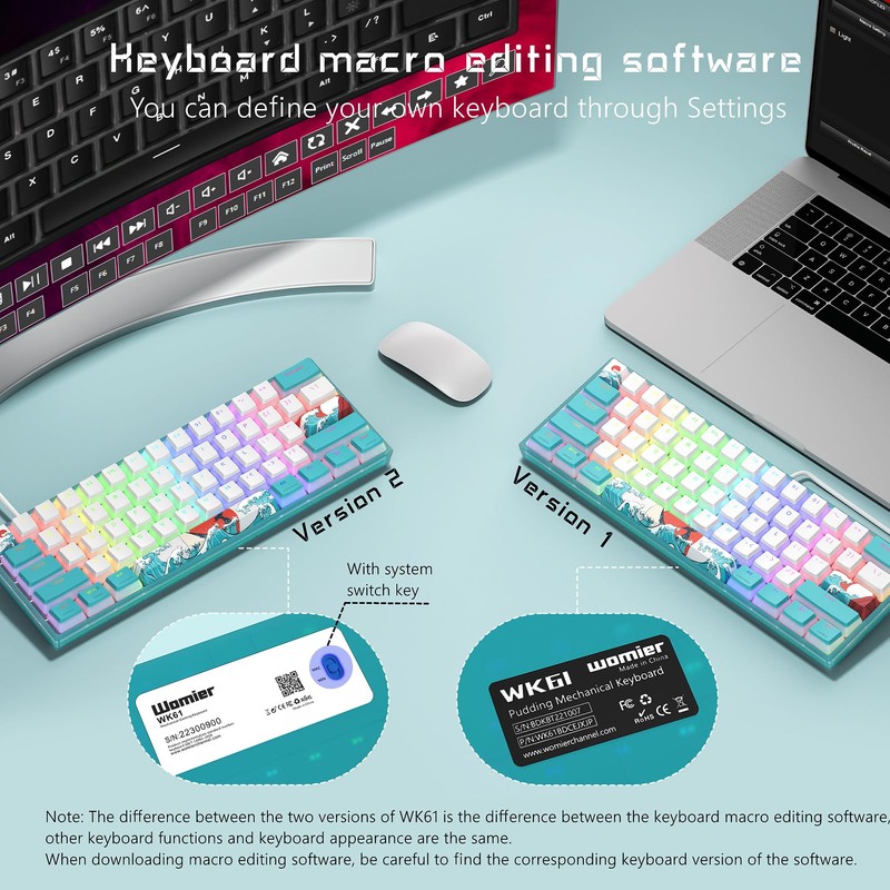 Womier 60% Percent Keyboard,WK61 V2 Mechanical RGB Wired Gaming Keyboard,Hot-Swappable