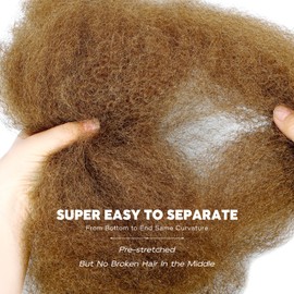 BLL Afro Kinkys Bulk Human Hair-100% Human Hair for Mini Twist Braiding Dreadlock Loc Extensions Afro Kinky Curly Hair Bulk Black Color (30#, 18 Inch Pack Of 1)