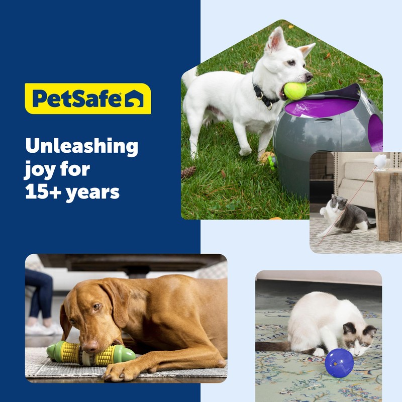 PetSafe Busy Buddy Nobbly Nubbly Treat Holding Dog Toy -