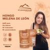 WILDMOUNTAIN - MELENA DE LEON EN POLVO BOLSA 100gr.