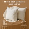 BPC 12x20 Down Feather Lumbar Pillow Inserts Set of 2,
