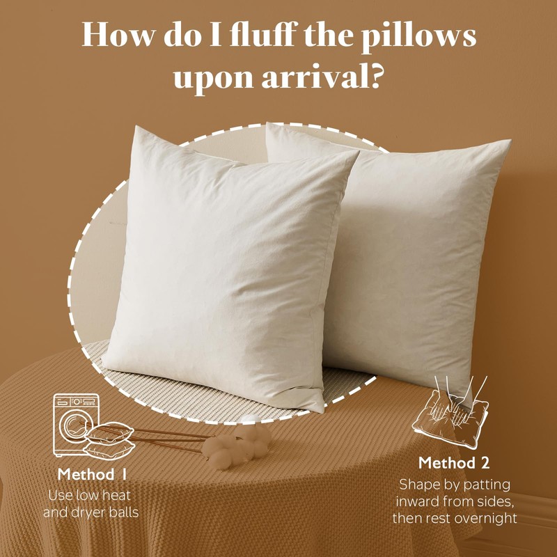 BPC 12x20 Down Feather Lumbar Pillow Inserts Set of 2,