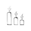 IBILI Oil Cruet 125 ml of Glass, 13 x 6