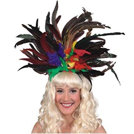 Fasching Samba-Federschmuck (bunt)