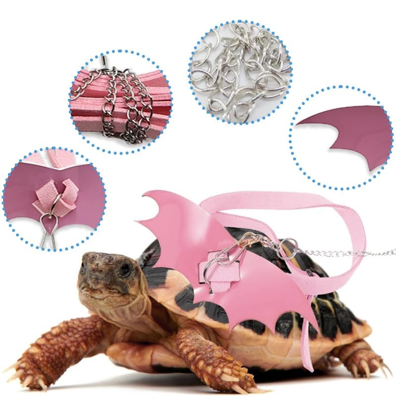 hokable Turtle Harness and Leash with Wings- Harness Strap Chest