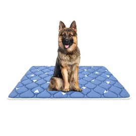 Dog Crate Mat, Ultra Soft Dog Bed Mat for Sleeping with Anti-Slip Bottom, Washable Kennel Pad for Large Medium Small Dogs Breeds with Cute Prints and Dark Colored to Hide Stains (48" X 30")