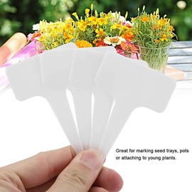 Marcadores de Etiquetas Tipo T, 50 PCS de Etiquetas de Plástico PVC Impermeables y Reutilizables para Semilleros, Macetas y Jardines