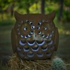 Solar Light LED Outdoor Garden Light Lamp Owl Height 16