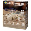 Smithsonian Rock and Gem Dig, Brown