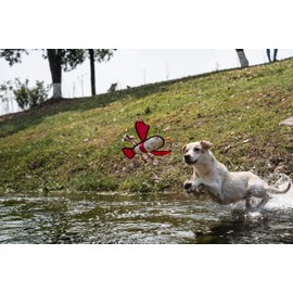 Rough & Tough Plush Toy, Dog Toy, Squeaky Toy, Tug Toy with Pull Ropes, Interactive Dog Toy, Recycled Fabric, Double Stitched, for Small, Middle and Large Dogs (Lobster)