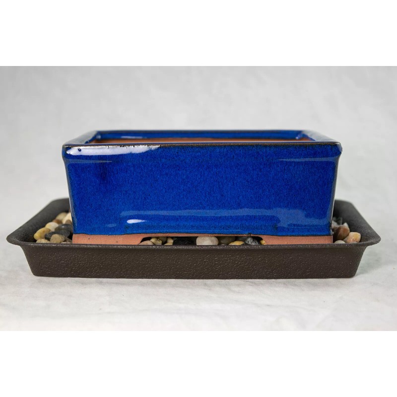 Takashima 6.25" Rectangular Dark Blue Bonsai / Succulent Pot +