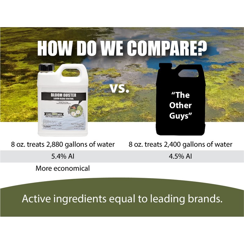 Bloom Buster Algae Control for Fish Ponds & Water Gardens