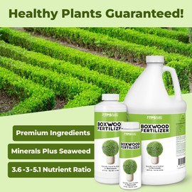Boxwood Fertilizer – Liquid Plant Food for Dense Growth, Rich Green Foliage, & Stronger Roots, 1 Gallon