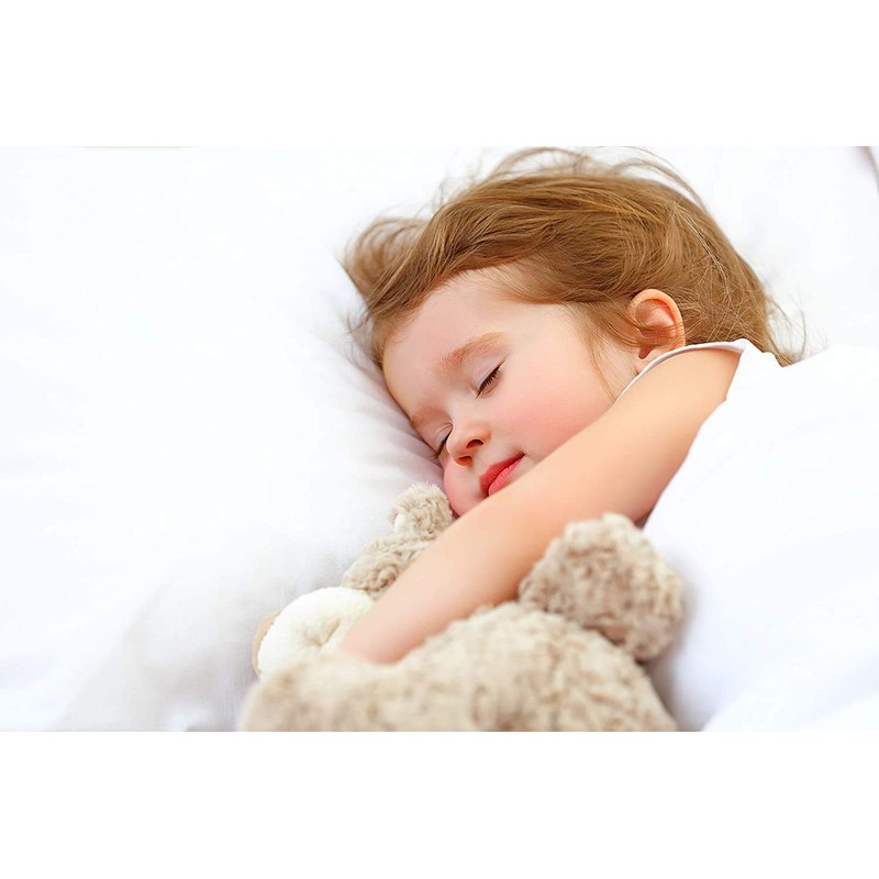 Waterproof Pillow Protector 2 Piece Set - Standard, Zippered Encasement,