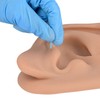 Modelo de oreja de acupuntura, réplica de oreja artificial derecha