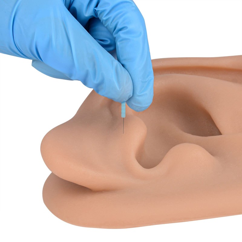 Modelo de oreja de acupuntura, réplica de oreja artificial derecha