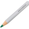 Staedtler Lumocolor 108-5 Omnichrome Pen Green