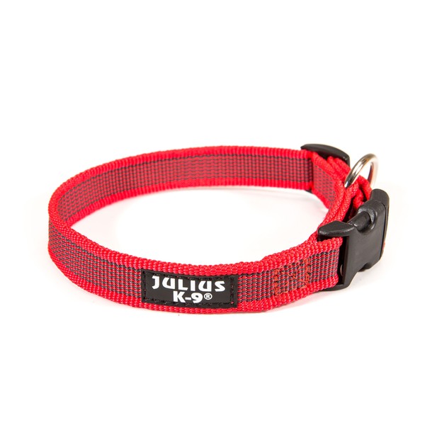 Julius-K9 Color & Gray Collar