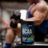 Performance Bcaa Aminos 211 Giant Sports 240g 30 Srv