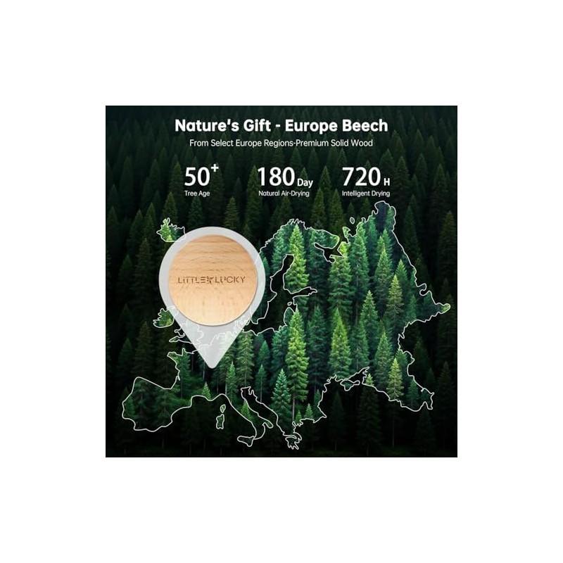 Beech Wood Car Air Freshener Vent Clip 2 Pack, Refillable