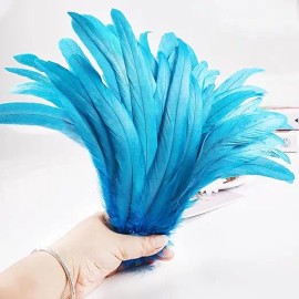 Natural Rooster Tail Feathers 50pcs 10-12inch Long Rooster Coque Tail Feathers Bulk for DIY Crafts Costume and Halloween PartyColor: Yellow, Feather Size (L x W): 10-12 inch/25-30cm