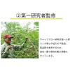 Biosupplement Cat Claw Cut Peruvian Cat-Claw Noni Maca Camu Carotenoid,