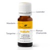 Plant Therapy KidSafe Calming The Child Essential Oil Blend -