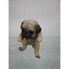 Oriental 石創 animaruobuje dogguo-namento Pug 14209
