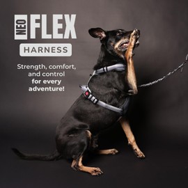 NeoFlex Dog Harness for Large Dogs - No Pull, Adjustable Harness with Handle - Ideal for Medium and Large Sized Dogs, All Breeds, Durable & Comfortable Dog Walking Vest - Purple - LG