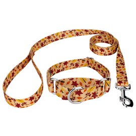 Country Brook Petz - Fall Foliage Martingale Dog Collar and Leash - Awesome Autumn Collection Featuring Designs You Will Fall for (5/8 Inch, Small)