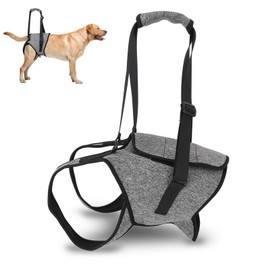 Dog Care Harness, Dog Walking Assistant Harness, Dog Assistance Harness, Support Harness for Dogs, Support Harness, For Small Dogs, Medium Dogs, Large Dogs, Large Dogs, Cats, Pet Supplies, Low Burden