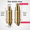 Brass Pop-Up Drain Valve Screws, Pop-Up Drain Valve Screw Brass,