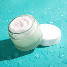 ZIOSTAND OHHAUN Vegan Hydrating Moisture Cream with 8 Plant-Based Ingredients, Deep Hydration for All Skin Types, 120ml