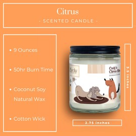 Citrus Pet Odor Eliminator Scented Candles for Home | Citrus Scented, Non Toxic, Odor Eliminating, Candles | 9oz Dog Odor Eliminator Candle for Home