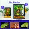 360° Clear View 12 Gallon 18x12.6x12.6 Glass Reptile Terrarium Suitable