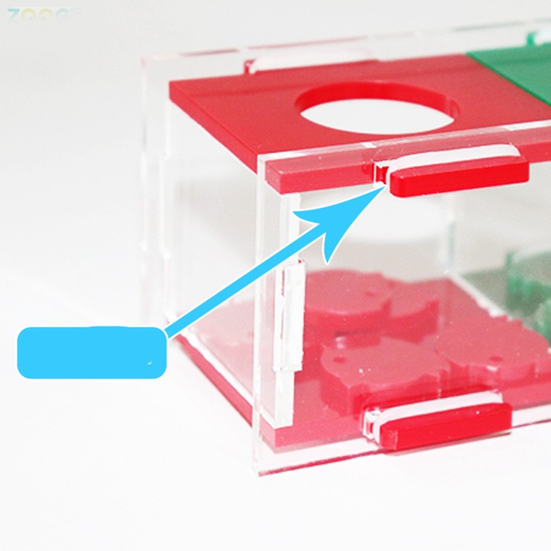 Parrot Color Separation Coin Box Educational Bird Treasure Desktop Interactive